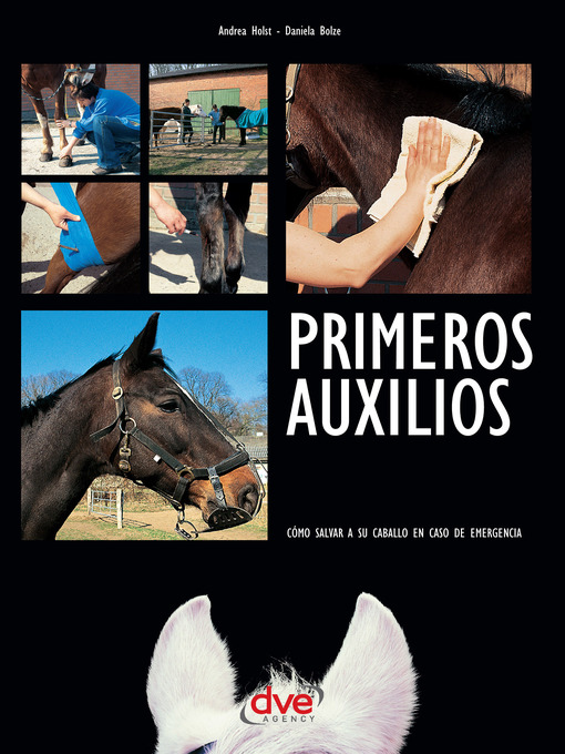 Title details for Primeros auxilios. Cómo salvar a su caballo en caso de emergencia by Andrea Holst - Available